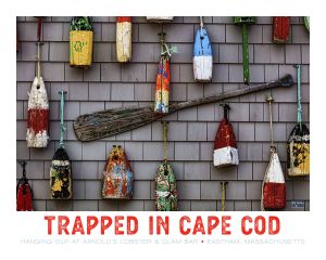 Cape Cod Poster