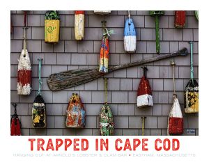 Cape Cod Poster