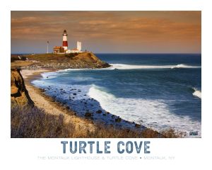 Turtle Cove Poster